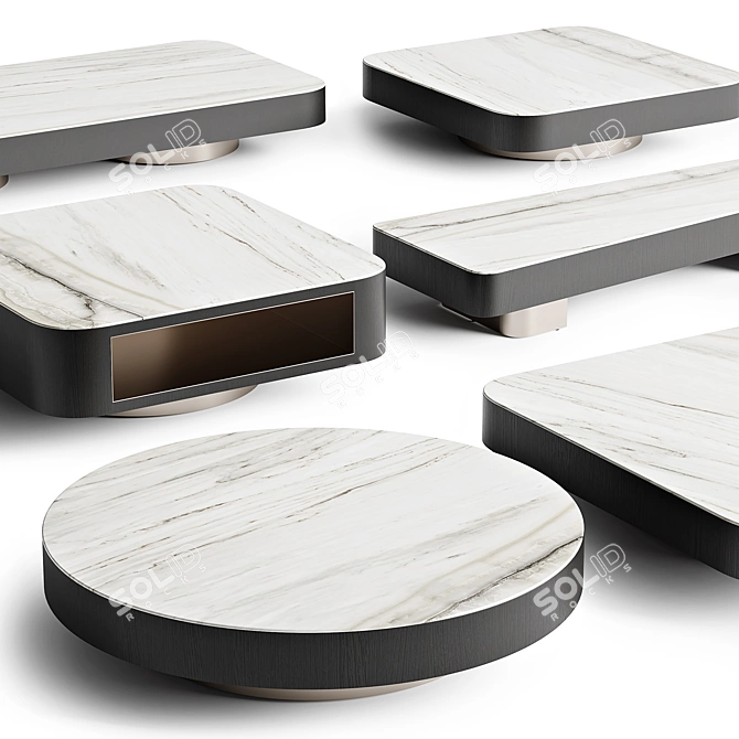 Elegant Zebrino Marble Minotti Coffee Tables 3D model image 2