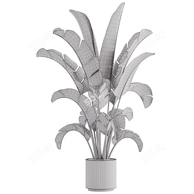 15-Piece Indoor Plant Set: V-Ray/Corona, 46,209 Polys, 2015 Version 3D model image 5