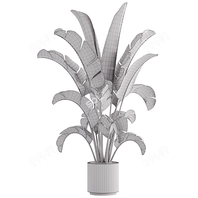 15-Piece Indoor Plant Set: V-Ray/Corona, 46,209 Polys, 2015 Version 3D model image 10