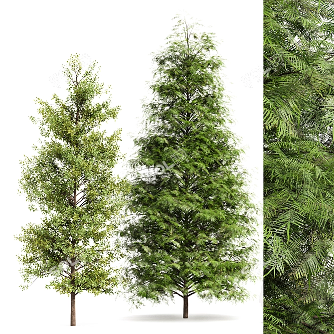 Real Tree Models for 3dsMax and OBJ 3D model image 2