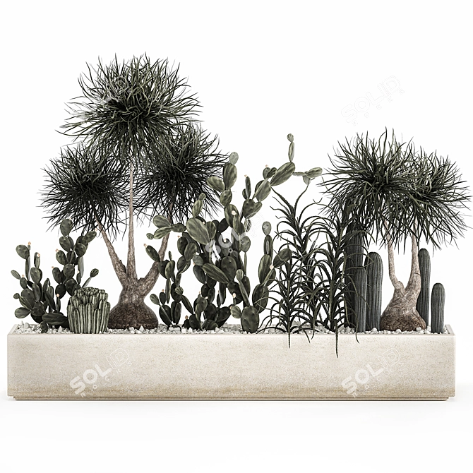 Tropical Plant Collection with Cacti & Aloe 3D model image 1