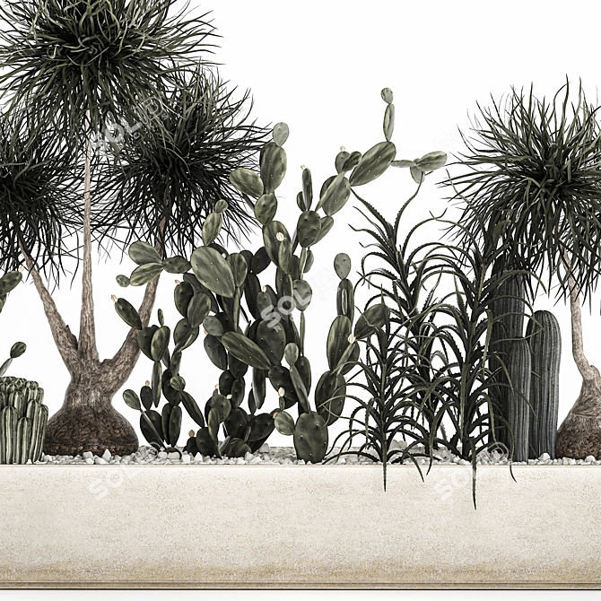 Tropical Plant Collection with Cacti & Aloe 3D model image 3