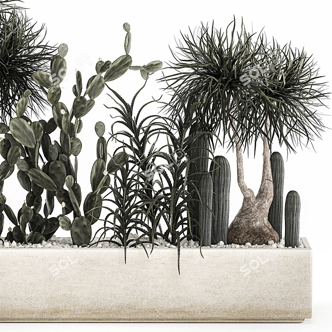 Tropical Plant Collection with Cacti & Aloe 3D model image 5