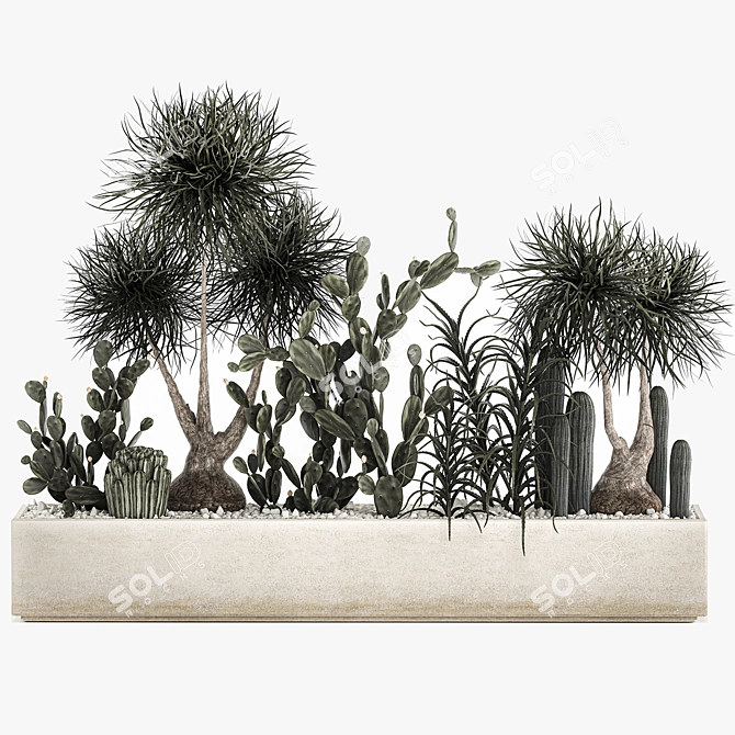Tropical Plant Collection with Cacti & Aloe 3D model image 6
