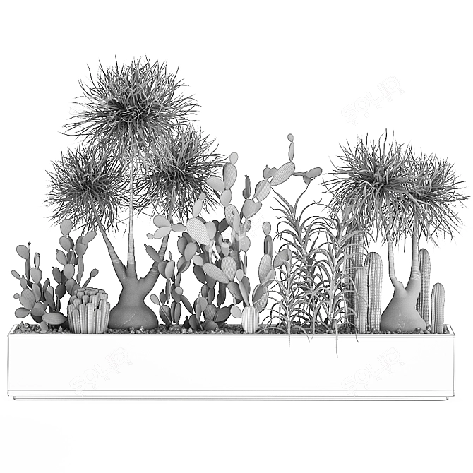 Tropical Plant Collection with Cacti & Aloe 3D model image 7