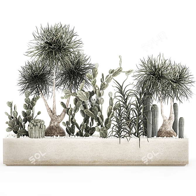 Tropical Plant Collection with Cacti & Aloe 3D model image 8