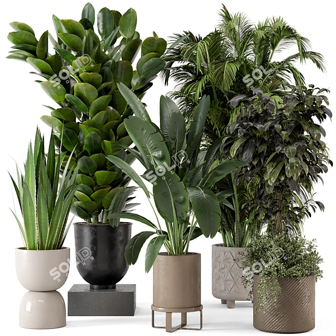 Ferm Living Bau Pot Large Set: Stylish Indoor Plants 3D model image 1