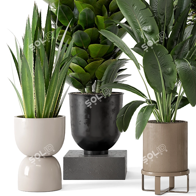 Ferm Living Bau Pot Large Set: Stylish Indoor Plants 3D model image 4