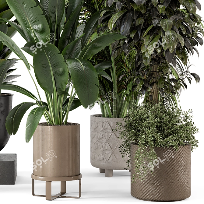 Ferm Living Bau Pot Large Set: Stylish Indoor Plants 3D model image 5