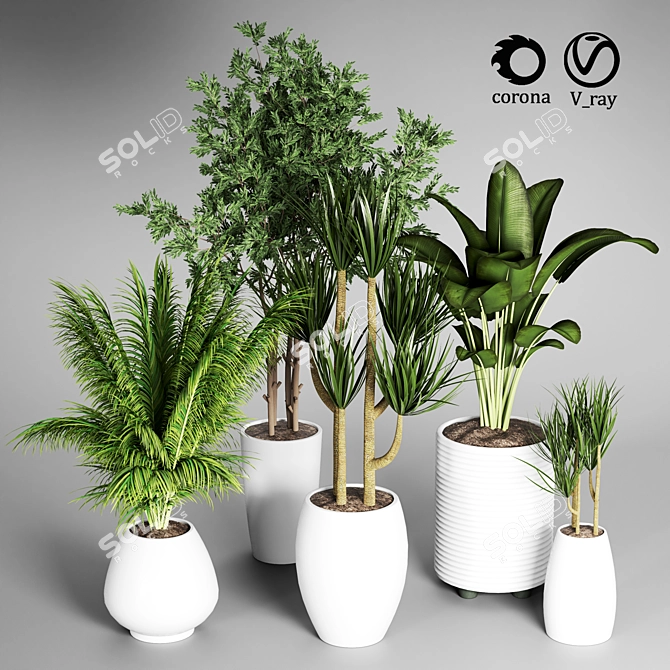 Indoor Plant Collection: 27 Varieties 3D model image 2