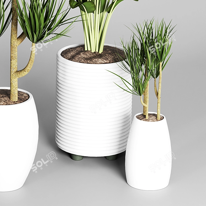 Indoor Plant Collection: 27 Varieties 3D model image 5