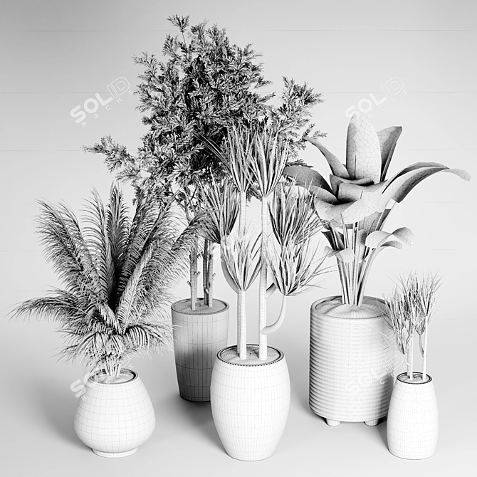 Indoor Plant Collection: 27 Varieties 3D model image 7