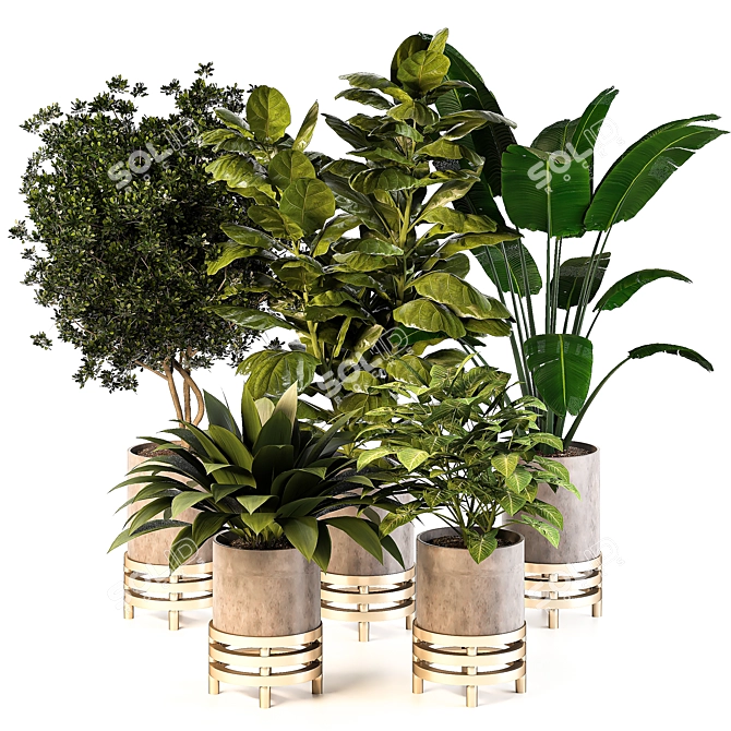 Nature's Oasis: Indoor Plant Set 3D model image 1