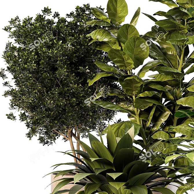 Nature's Oasis: Indoor Plant Set 3D model image 3