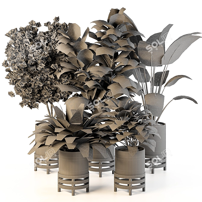 Nature's Oasis: Indoor Plant Set 3D model image 4