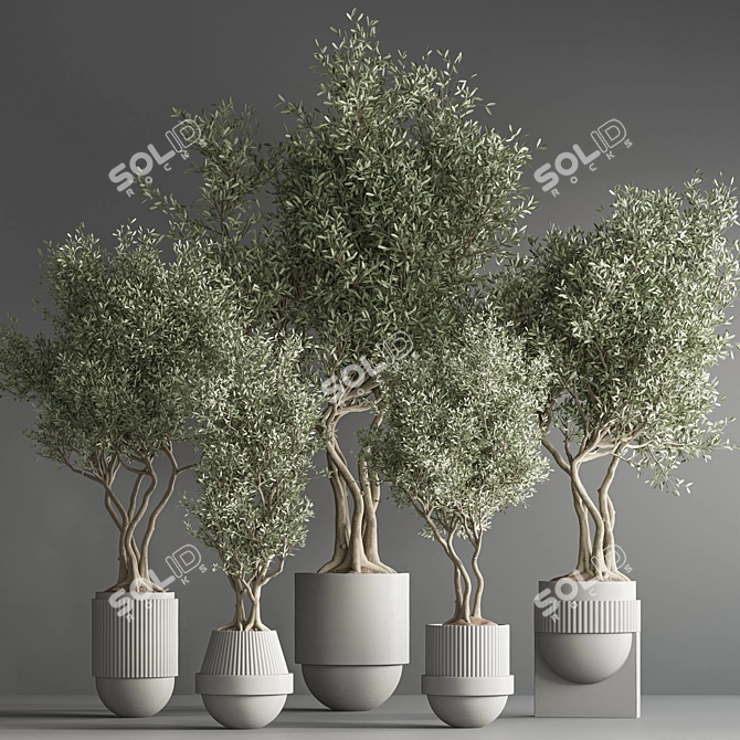 32-Piece Indoor Plant Set 3D model image 3