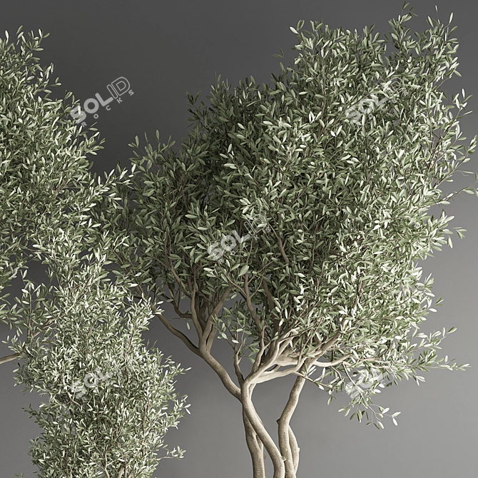 32-Piece Indoor Plant Set 3D model image 5