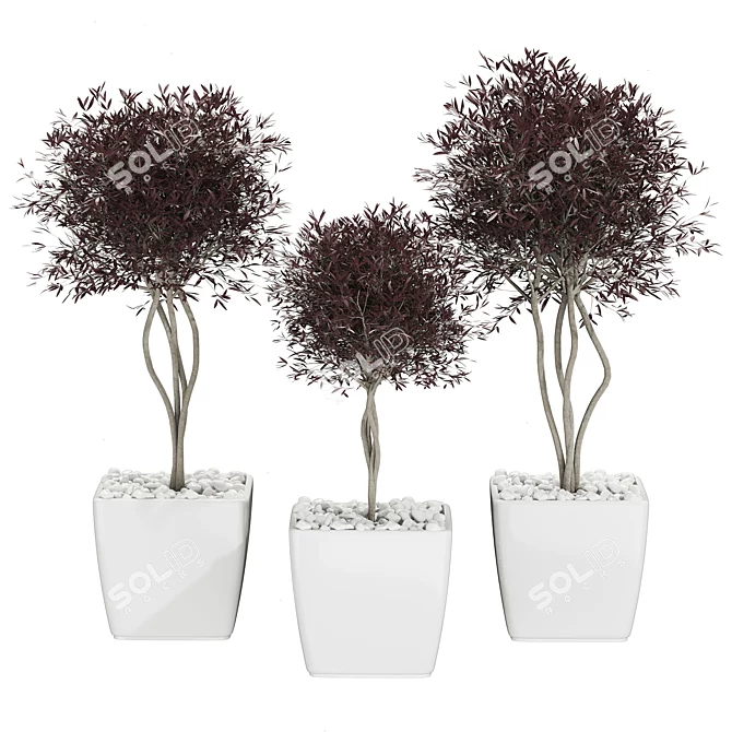 Premium Plant Collection 3D model image 1