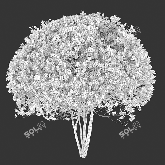 Ethereal Elegance: Graceful Sphere Shaped Trees 3D model image 4