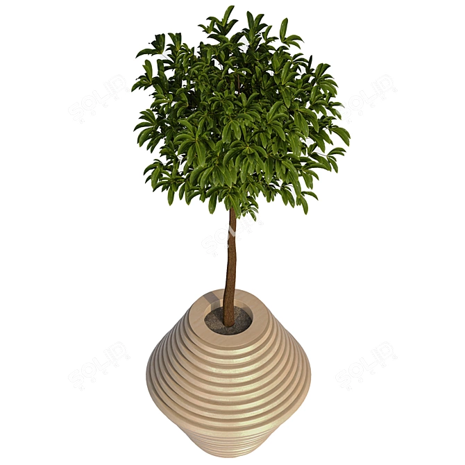 Lush Greenery - Premium Plant Collection 3D model image 2