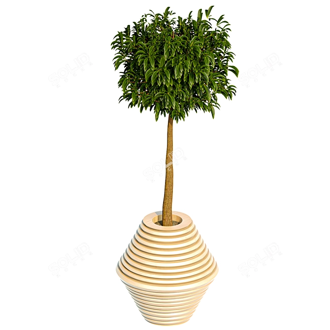 Lush Greenery - Premium Plant Collection 3D model image 5