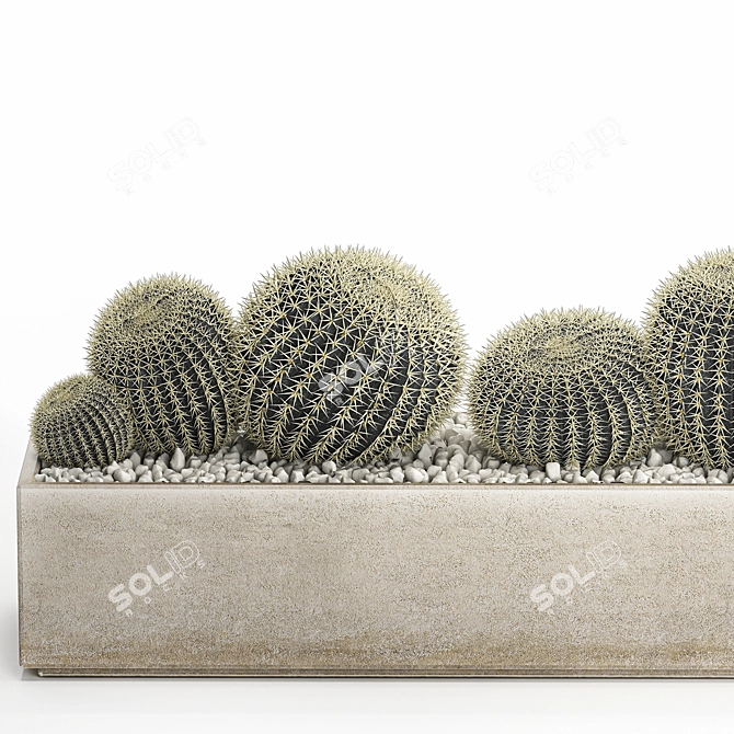 Tropical Exotic Cacti Collection 3D model image 2