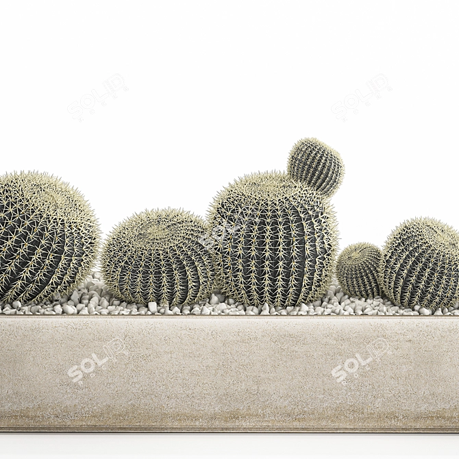 Tropical Exotic Cacti Collection 3D model image 3