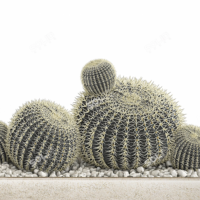 Tropical Exotic Cacti Collection 3D model image 4