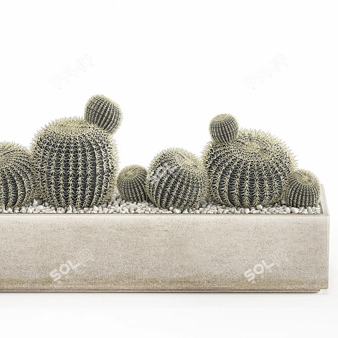 Tropical Exotic Cacti Collection 3D model image 5