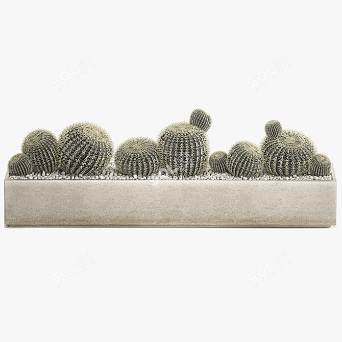 Tropical Exotic Cacti Collection 3D model image 6