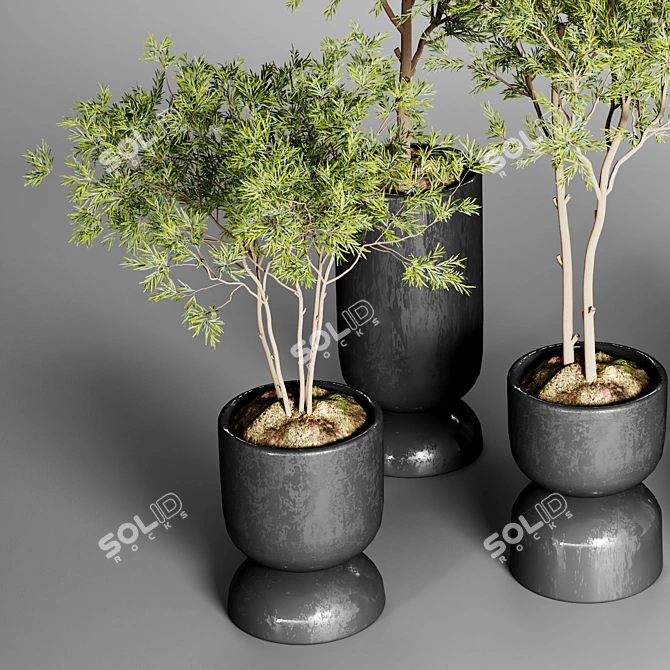 Urban Jungle: 30 Indoor Plants 3D model image 3