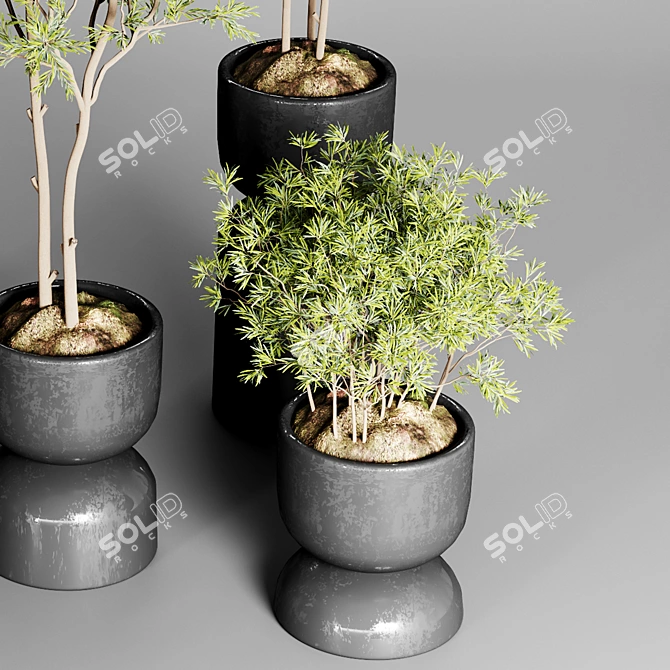 Urban Jungle: 30 Indoor Plants 3D model image 4