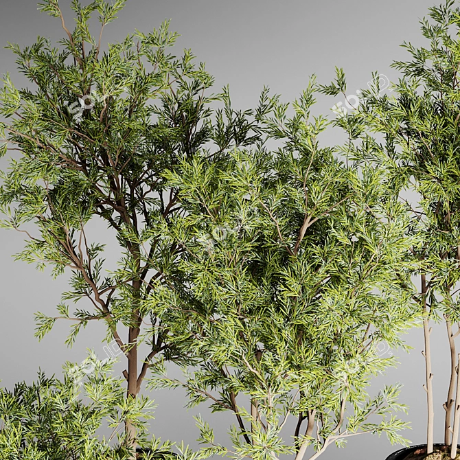 Urban Jungle: 30 Indoor Plants 3D model image 5