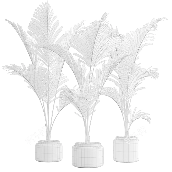 Tropical Majesty Palm Plant 3D model image 3
