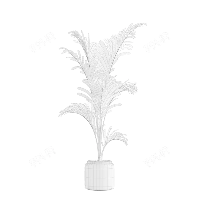 Tropical Majesty Palm Plant 3D model image 7