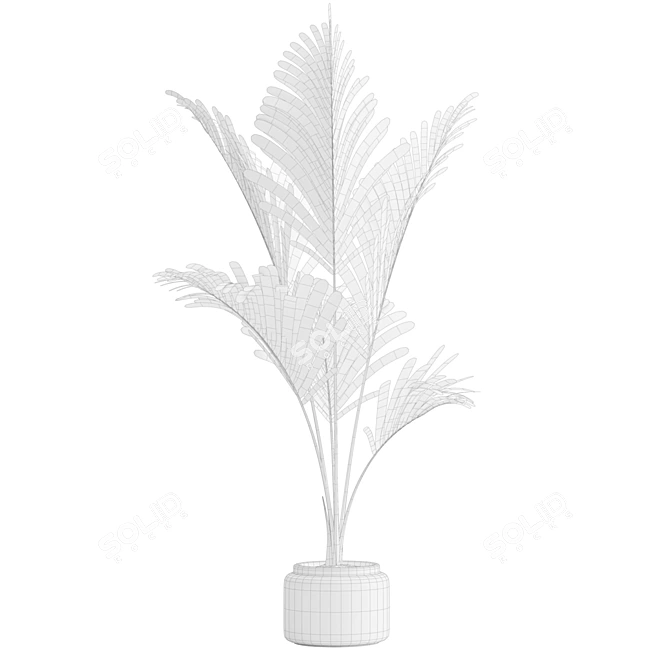Tropical Majesty Palm Plant 3D model image 15