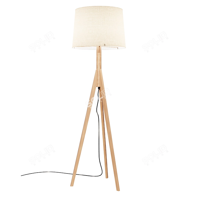 Sleek Tripod Floor Lamp 3D model image 1