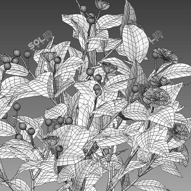 Elegant Japanese Camellia Tree 3D model image 6