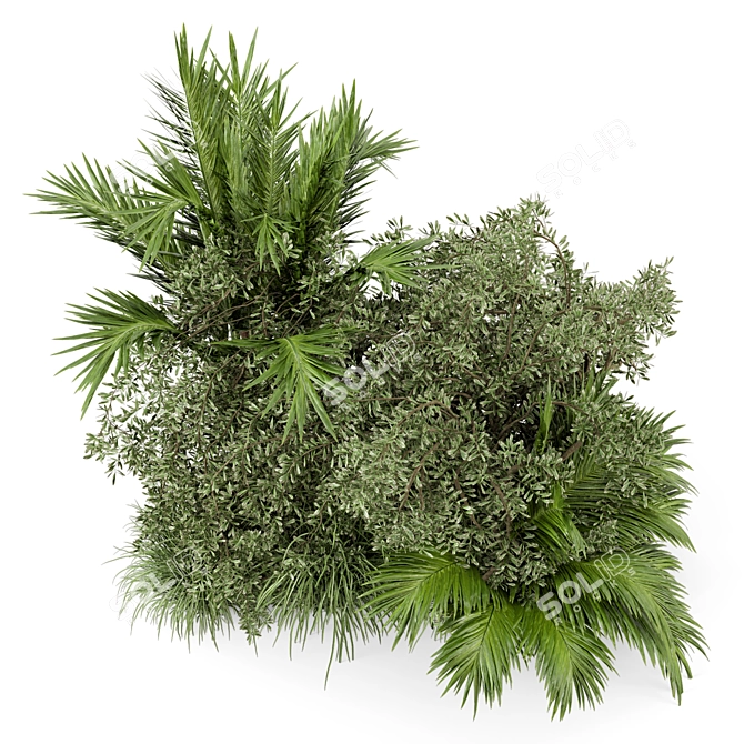 Lush Outdoor Bush Set 446 3D model image 2