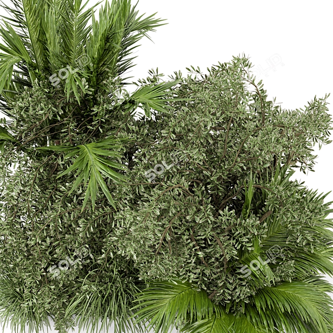 Lush Outdoor Bush Set 446 3D model image 6