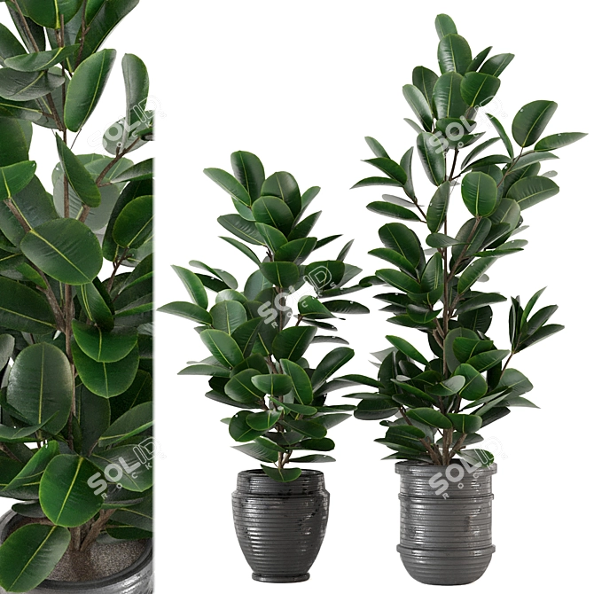 Modern Indoor Plant Collection - Set 205 3D model image 1