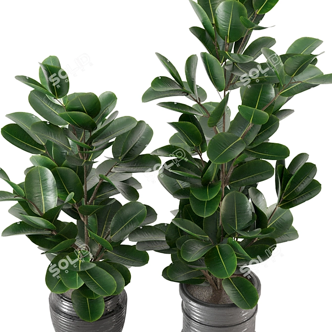 Modern Indoor Plant Collection - Set 205 3D model image 3
