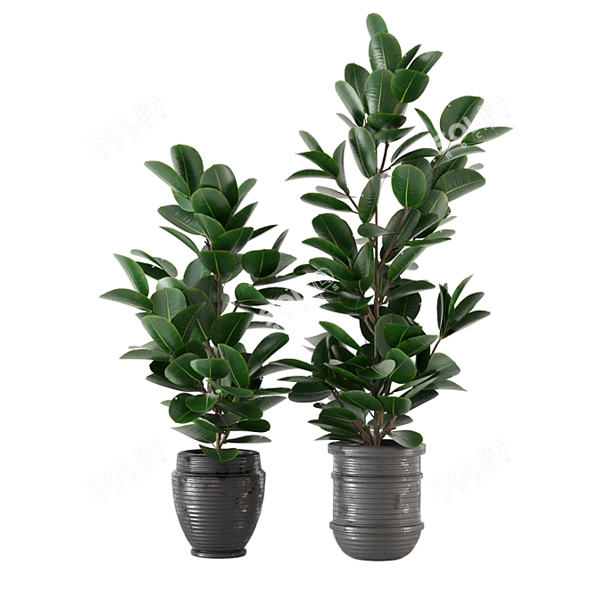 Modern Indoor Plant Collection - Set 205 3D model image 4