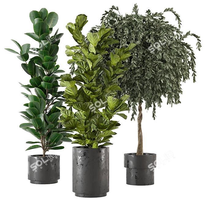  3D Indoor Plants Collection - Set 206 3D model image 1