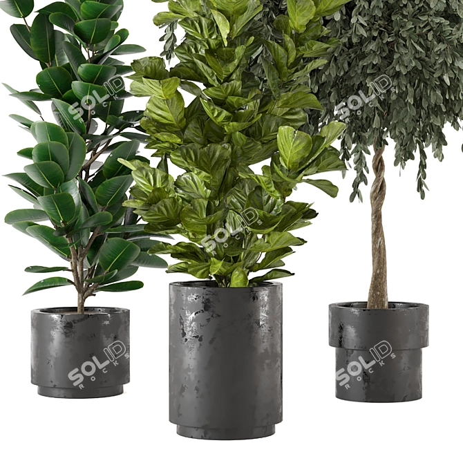  3D Indoor Plants Collection - Set 206 3D model image 2