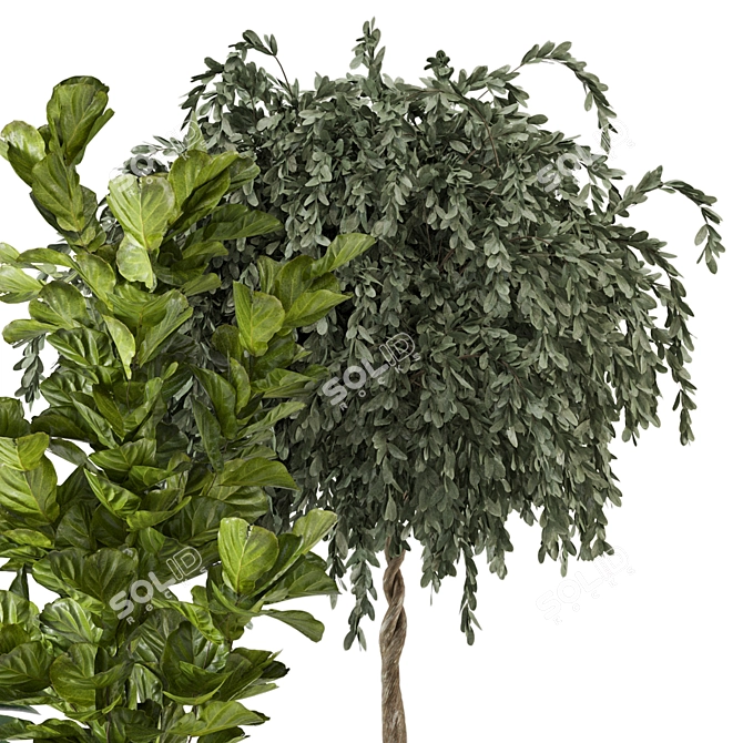  3D Indoor Plants Collection - Set 206 3D model image 3