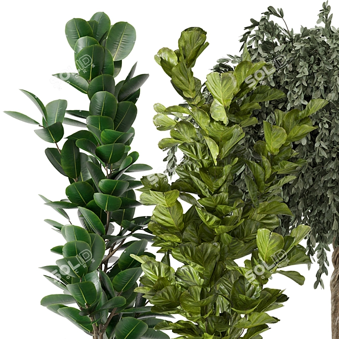  3D Indoor Plants Collection - Set 206 3D model image 4