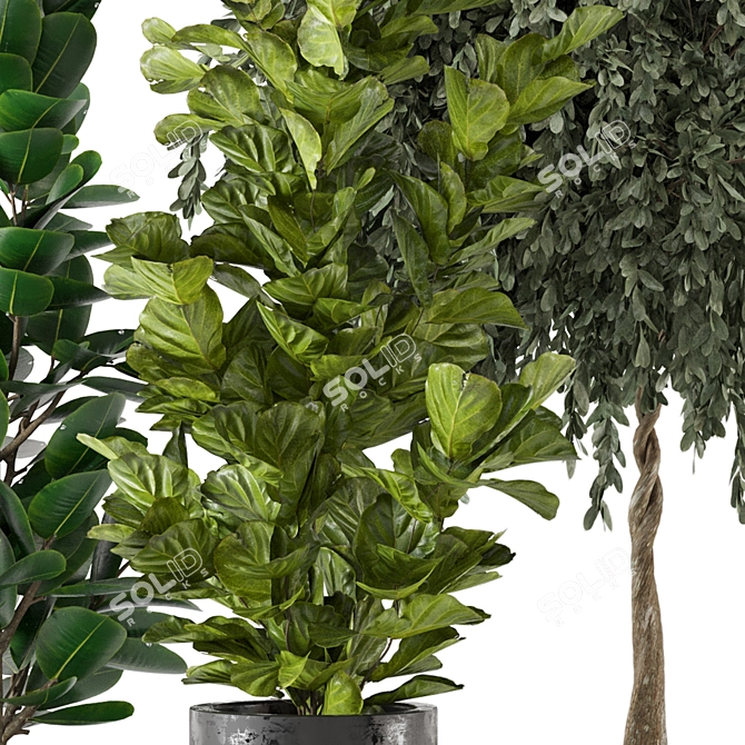  3D Indoor Plants Collection - Set 206 3D model image 5