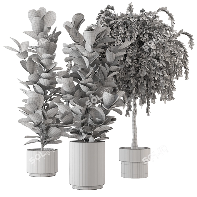  3D Indoor Plants Collection - Set 206 3D model image 6