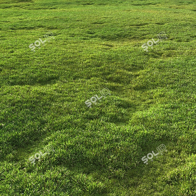 Scattered Grass Patterns 3D model image 1